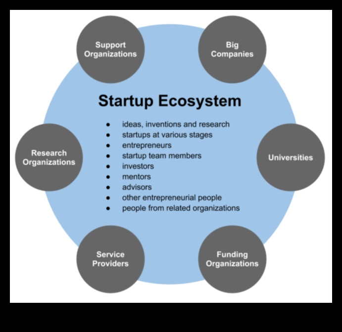 The Startup Pulse A Beat-by-Beat Look at Entrepreneurial Ecosystem 3 The Startup Pulse: Beating Heart of Entrepreneurship