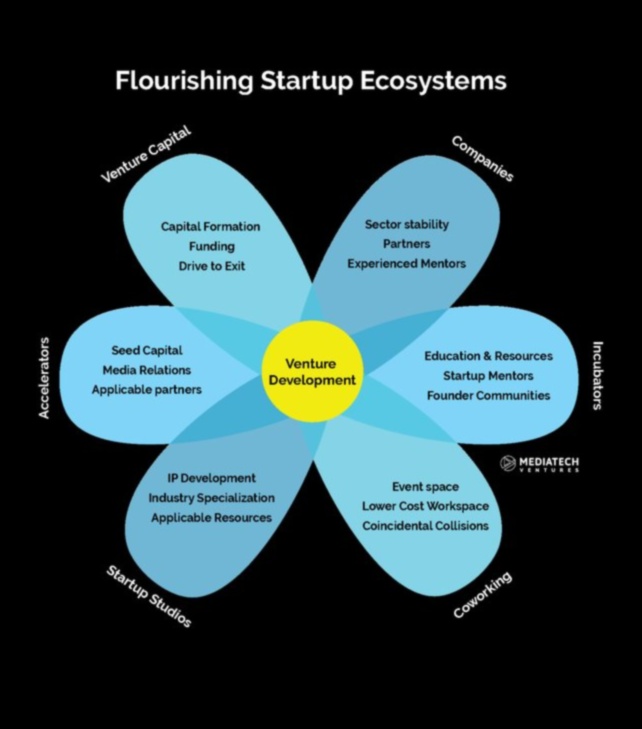 The Startup Pulse A Beat-by-Beat Look at Entrepreneurial Ecosystem 4 The Startup Pulse: Beating Heart of Entrepreneurship