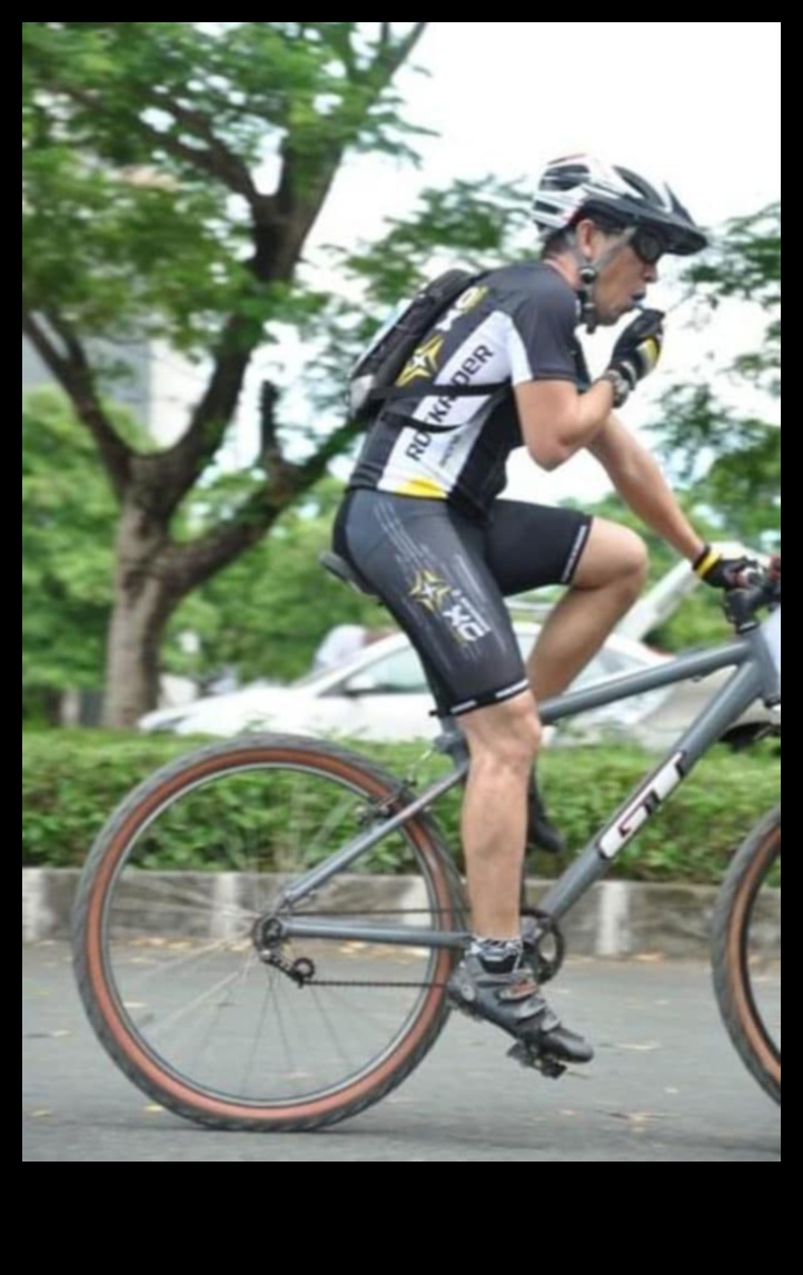 City Cycling Chronicles: Narratives from Commuting Cyclists