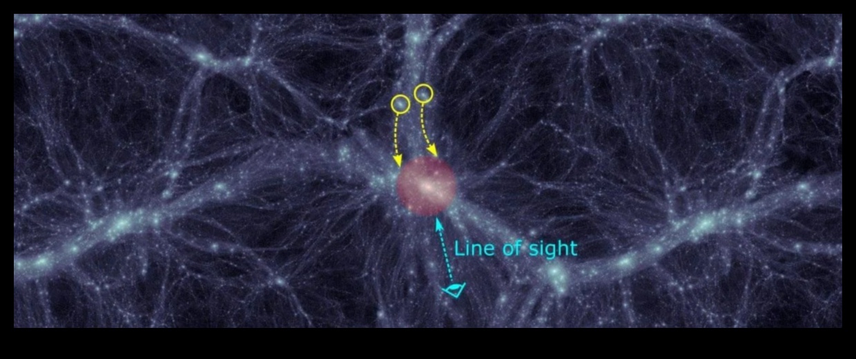 Galactic Ballet: Dancing Among the Stars in Zero Gravity