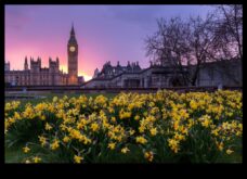 Αστικό τοπίο Nomads που ζουν σε φορτηγά στην αστική ζούγκλα
