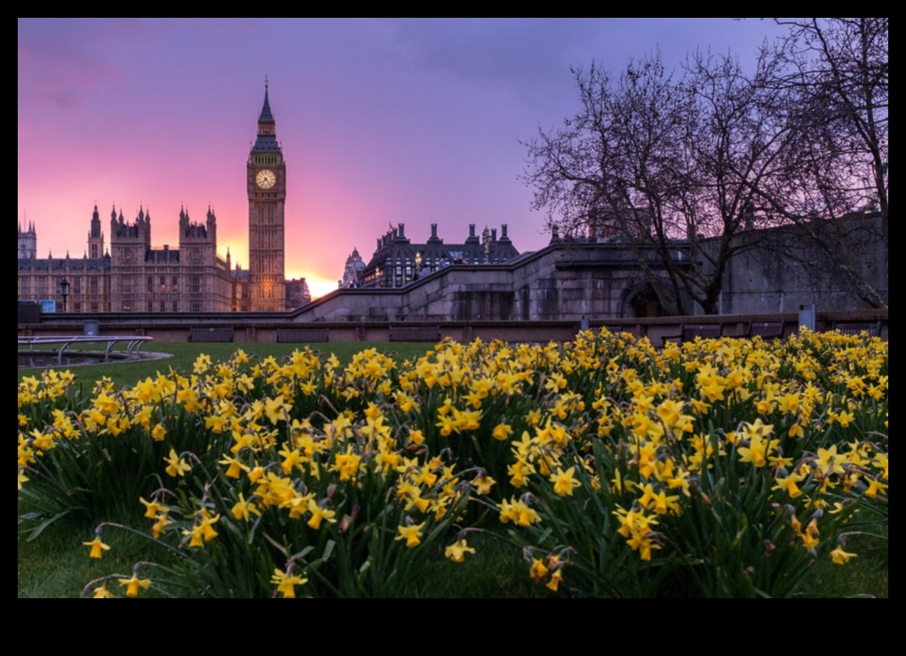 Cityscape Nomads: Navigating Urban Challenges in Vans