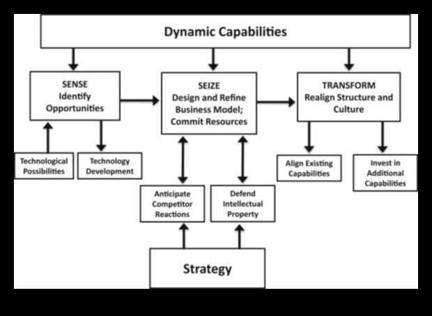 Innovate to Elevate: Strategies for Dynamic Business Analysis